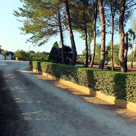Farm stay Villantica